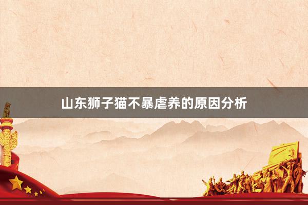 山东狮子猫不暴虐养的原因分析