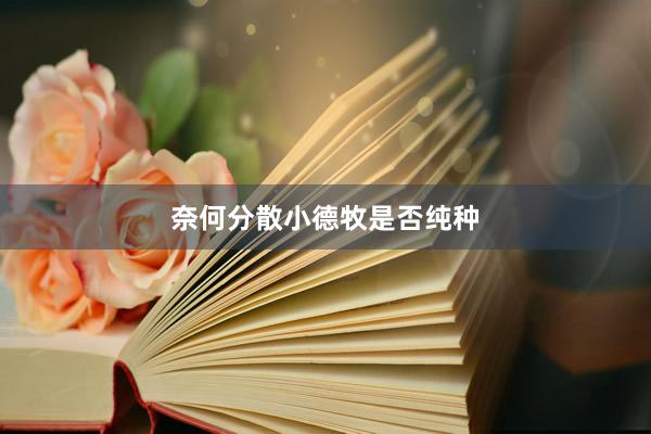 奈何分散小德牧是否纯种
